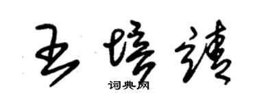朱錫榮王培靖草書個性簽名怎么寫
