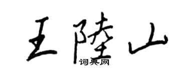 王正良王陸山行書個性簽名怎么寫