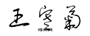 曾慶福王寒菊草書個性簽名怎么寫