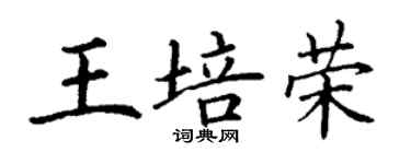 丁謙王培榮楷書個性簽名怎么寫
