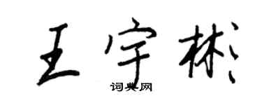 王正良王宇彬行書個性簽名怎么寫