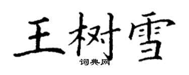 丁謙王樹雪楷書個性簽名怎么寫