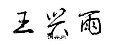 曾慶福王興雨行書個性簽名怎么寫