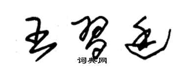 朱錫榮王習廷草書個性簽名怎么寫