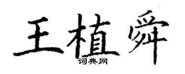 丁謙王植舜楷書個性簽名怎么寫
