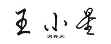 駱恆光王小星行書個性簽名怎么寫