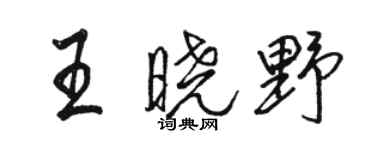 駱恆光王曉野行書個性簽名怎么寫