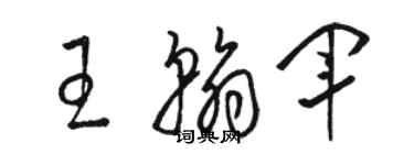 駱恆光王翰軍草書個性簽名怎么寫