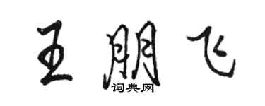 駱恆光王朋飛行書個性簽名怎么寫