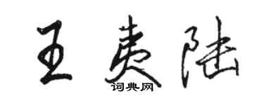 駱恆光王夷陸行書個性簽名怎么寫