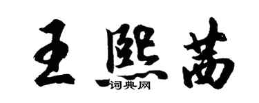 胡問遂王熙茜行書個性簽名怎么寫