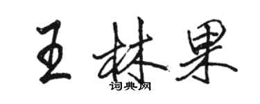 駱恆光王林果行書個性簽名怎么寫