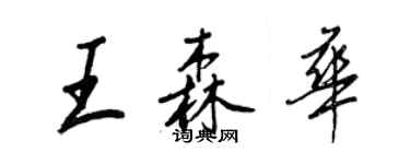 王正良王森華行書個性簽名怎么寫