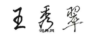 駱恆光王秀翠行書個性簽名怎么寫