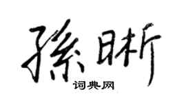 王正良孫晰行書個性簽名怎么寫