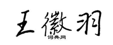 王正良王徽羽行書個性簽名怎么寫