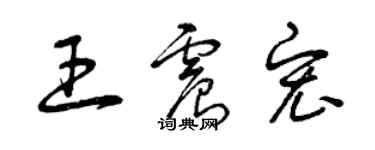 曾慶福王震宏草書個性簽名怎么寫