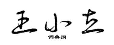 曾慶福王小立草書個性簽名怎么寫