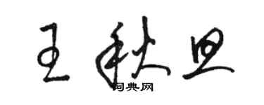 駱恆光王秋旦草書個性簽名怎么寫