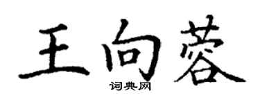 丁謙王向蓉楷書個性簽名怎么寫