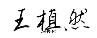 王正良王植然行書個性簽名怎么寫