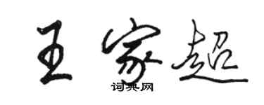 駱恆光王家超行書個性簽名怎么寫