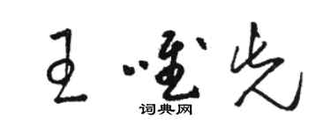 駱恆光王唯先草書個性簽名怎么寫