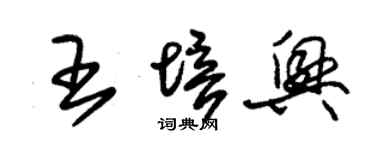 朱錫榮王培興草書個性簽名怎么寫