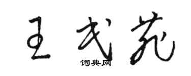 駱恆光王民菲草書個性簽名怎么寫