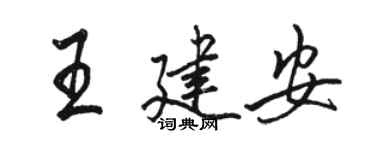 駱恆光王建安行書個性簽名怎么寫