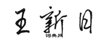 駱恆光王新日行書個性簽名怎么寫