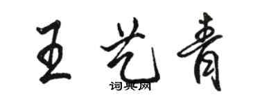 駱恆光王藝青行書個性簽名怎么寫