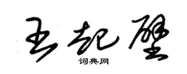 朱錫榮王起壁草書個性簽名怎么寫