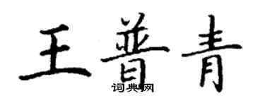 丁謙王普青楷書個性簽名怎么寫