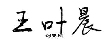 曾慶福王葉晨行書個性簽名怎么寫