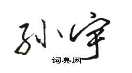 駱恆光孫宇行書個性簽名怎么寫