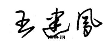 朱錫榮王建鳳草書個性簽名怎么寫