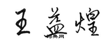 駱恆光王益煌行書個性簽名怎么寫