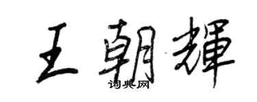 王正良王朝輝行書個性簽名怎么寫
