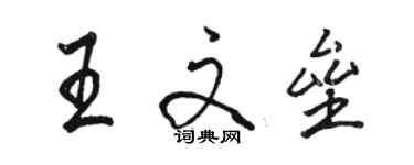 駱恆光王文壘行書個性簽名怎么寫