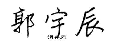 王正良郭宇辰行書個性簽名怎么寫