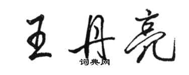 駱恆光王丹亮行書個性簽名怎么寫