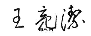 駱恆光王亮潔草書個性簽名怎么寫