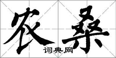 翁闓運農桑楷書怎么寫