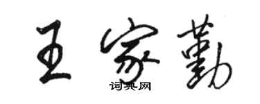 駱恆光王家勤行書個性簽名怎么寫