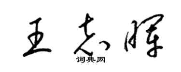 梁錦英王志暉草書個性簽名怎么寫