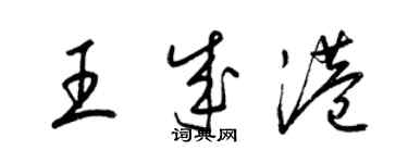 梁錦英王成港草書個性簽名怎么寫