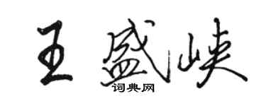 駱恆光王盛峽行書個性簽名怎么寫
