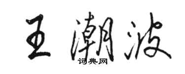 駱恆光王潮波行書個性簽名怎么寫