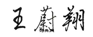 駱恆光王蔚翔行書個性簽名怎么寫